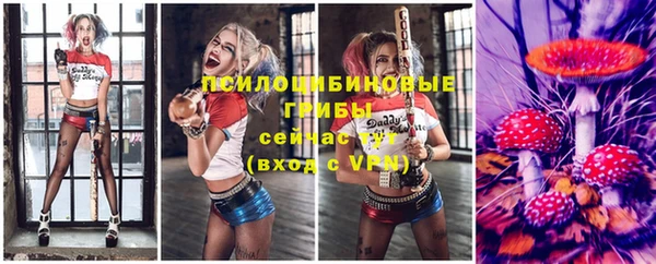 сатива Михайловск