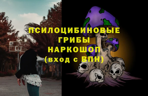 СК Мегион